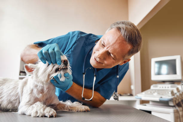 Best Tooth Infection Emergency Dentist  in Kempner, TX